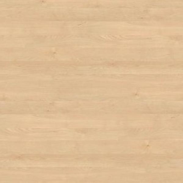 Mandal_Ahorn_Natur 25 mm